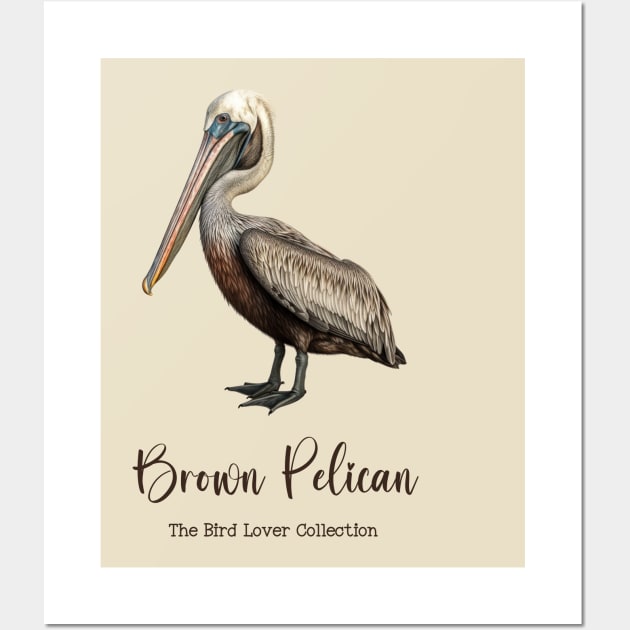 Brown Pelican - The Bird Lover Collection Wall Art by goodoldvintage